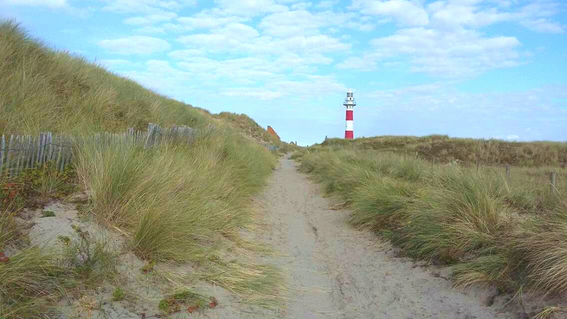 In de buurt van Huisje 96 in Westende